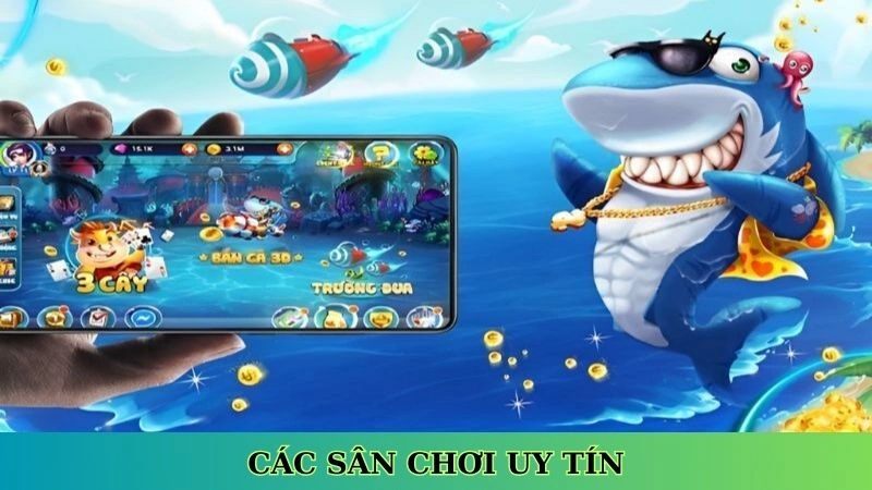 Các sân chơi uy tín