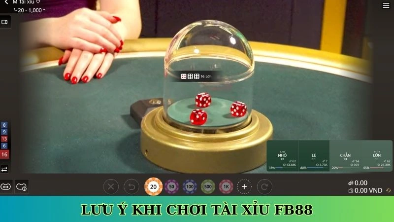 Lưu ý khi chơi tài xỉu Fb88 Lưu ý khi chơi tài xỉu Fb88